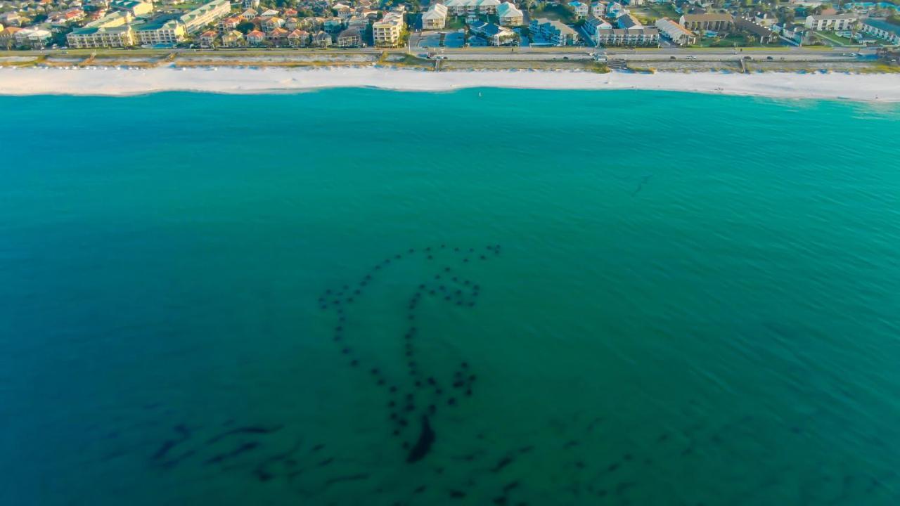 La Quinta Inn & Suites By Wyndham Miramar Beach-Destin Esterno foto